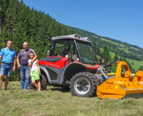 Aebi TT211+ mit Berti Mulcher
