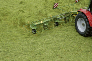 Krone Kreiselzettwender KWT gezogen Landtechnik Villach