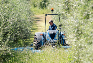 New Holland T4 Low Profile